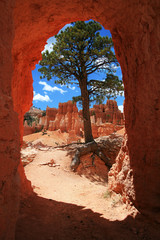 Natural Rock Arch Framing Tree at Bryce Canyon National Park Utah