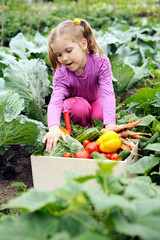 Little helper