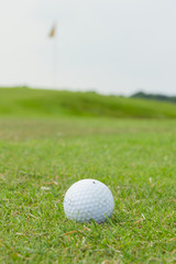 Golf ball on grass
