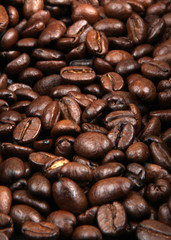 Coffee Beans.