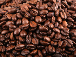 Coffee Beans.