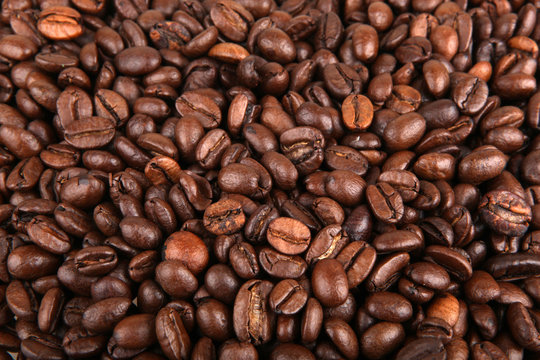 Coffee Beans. © Nenov Brothers