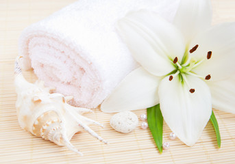 white lilly and towel
