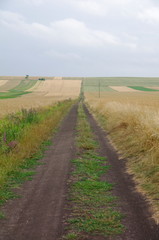 Fototapeta na wymiar Droga między polami wieś
