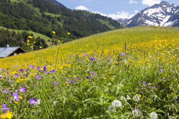 Kleinwalsertal in Österreich