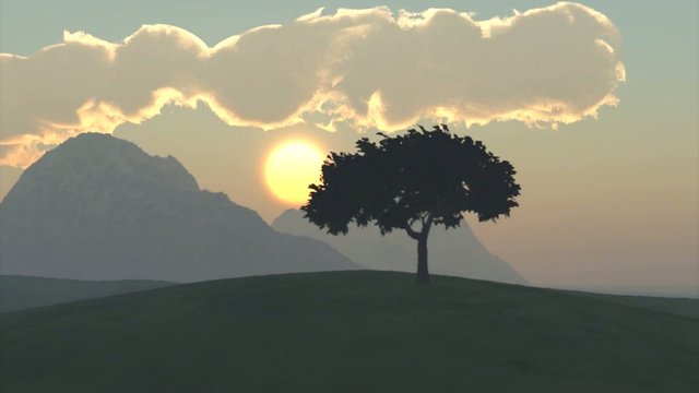 Baum im Sonnenaufgang
