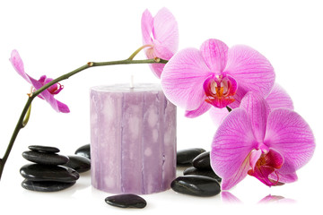 Fototapeta na wymiar orchid,aromatic candle and black stones