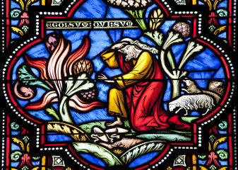 Fototapeta na wymiar Bruksela - Mojżesz i krzak buring - ST. Michel katedra