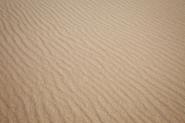 Beach golden sand background (textured)