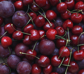 Cherry and Plum
