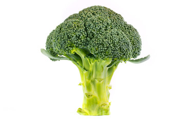 Fresh broccoli over white