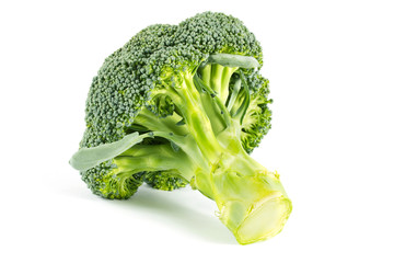 Fresh broccoli over white