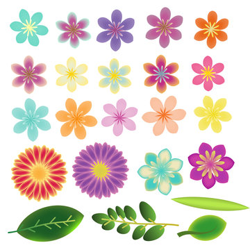 Decorative vector flowers and leaves collection