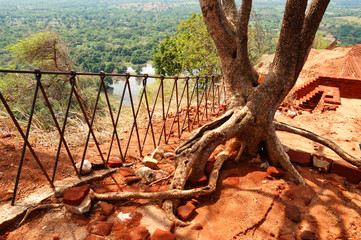 The view from Sigiriya (Lion's rock) is an ancient rock fortress