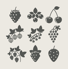 set of berry food icon vector illustration