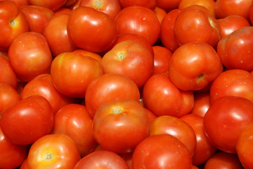 Fresh tomatoes