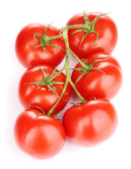 Fresh tomatoes on branch isolated on white