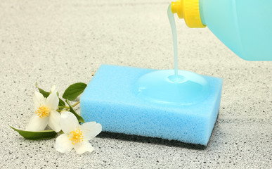 bright sponge and flower  with dish washing liquid