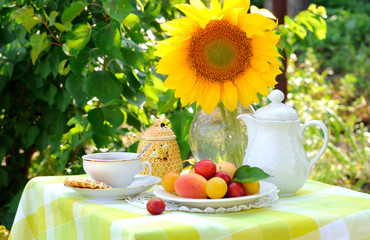 Afternoon Tea