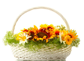 beautiful bouquet of bright wildflowers in basket, isolated