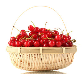 redcurrants in a basket isolated on white