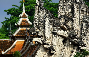 Fototapeta premium dragons guardiens du temple