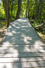 Wooden path through forest. in krka national park, croatia