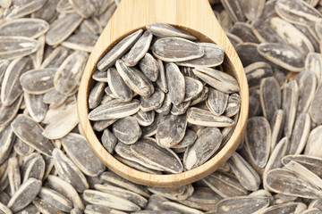 Organic Roasted SunFlower Seeds
