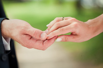hands of the bride and groom