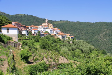 Fototapeta na wymiar Dorf w Liguryjskie