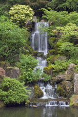 Fototapeta na wymiar Kaskadowe wodospad w japoński ogród w Portland