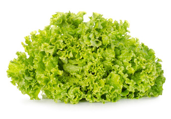 Obraz na płótnie Canvas Fresh green lettuce