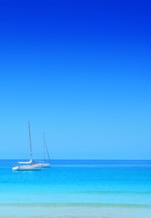 paysage d'&eacute;t&eacute;