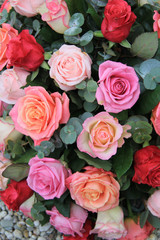 Roses in different shades of pink