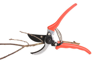 Pruner with branch isolated on white