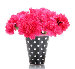 Bouquet of carnations in a vase isolated on white