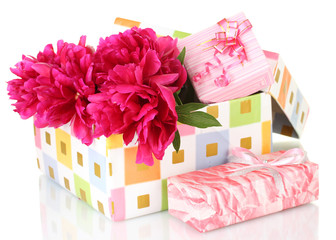 beautirul pink peonies in gift box isolated on white