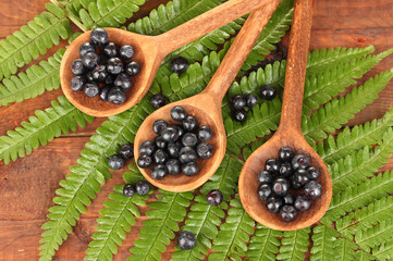 Tasty blueberries in wooden spoons on wooden background