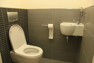 Toilet in shades of grey