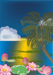 Fototapeta na wymiar palma w pobliżu kwiatów lotosu w wodzie