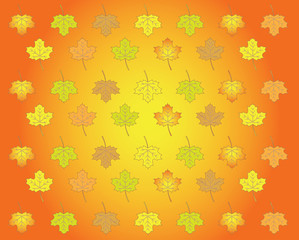 autumnal background made of maple leaves