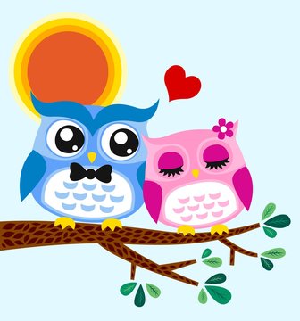 owl couple illustration