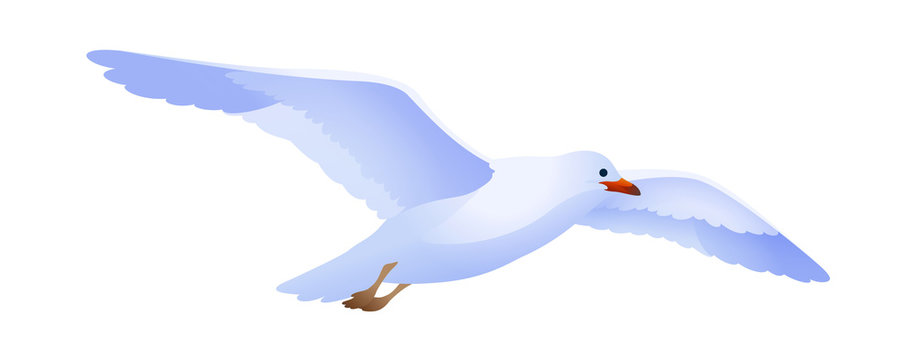 recommend clip art: vector icon seagull