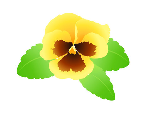 Pansy clip art preview