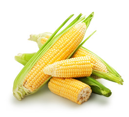 fresh corn