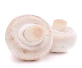 Champignon mushroom