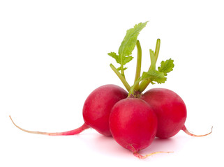 Small garden radish