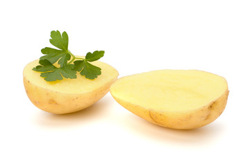 New potato and green parsley