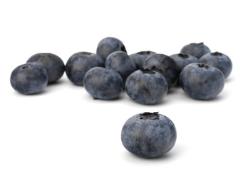 Bilberries or whortleberries cutout