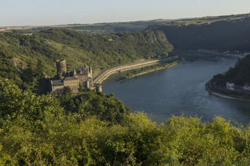 Fototapeta na wymiar Blick auf den Rhein mit Burgruine